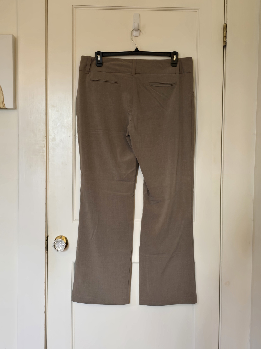 Daisy Fuentes Taupe Boot-Cut Trousers - Picture 2 of 7